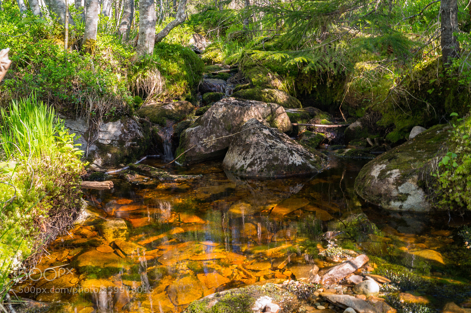 Sony SLT-A58 sample photo. Little stream photography