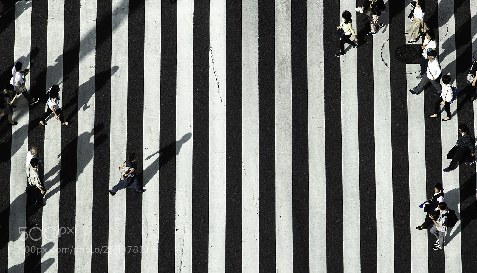 Nikon D850 sample photo. Walking pass crossing photography