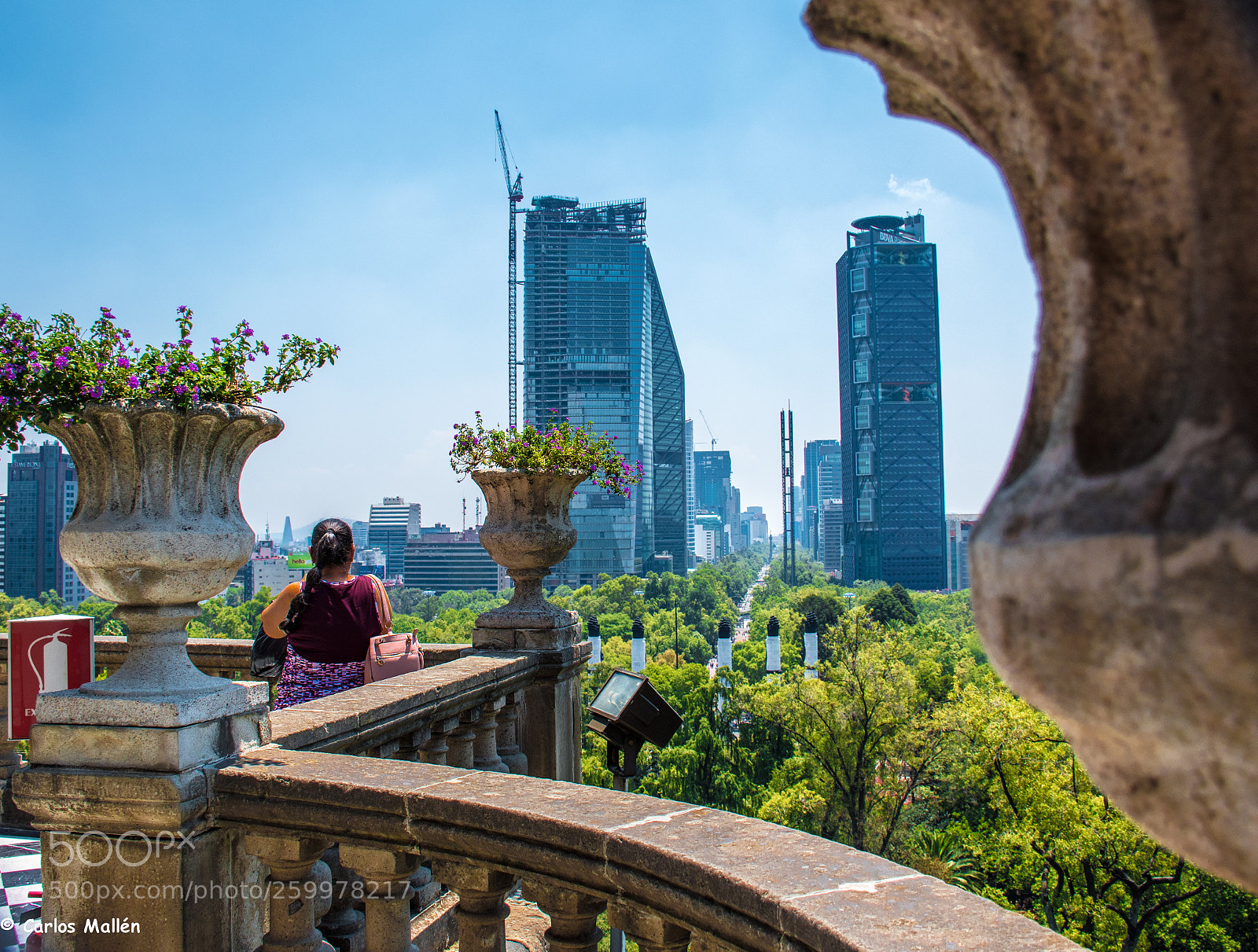 Nikon D5500 sample photo. Observando el paseo de photography