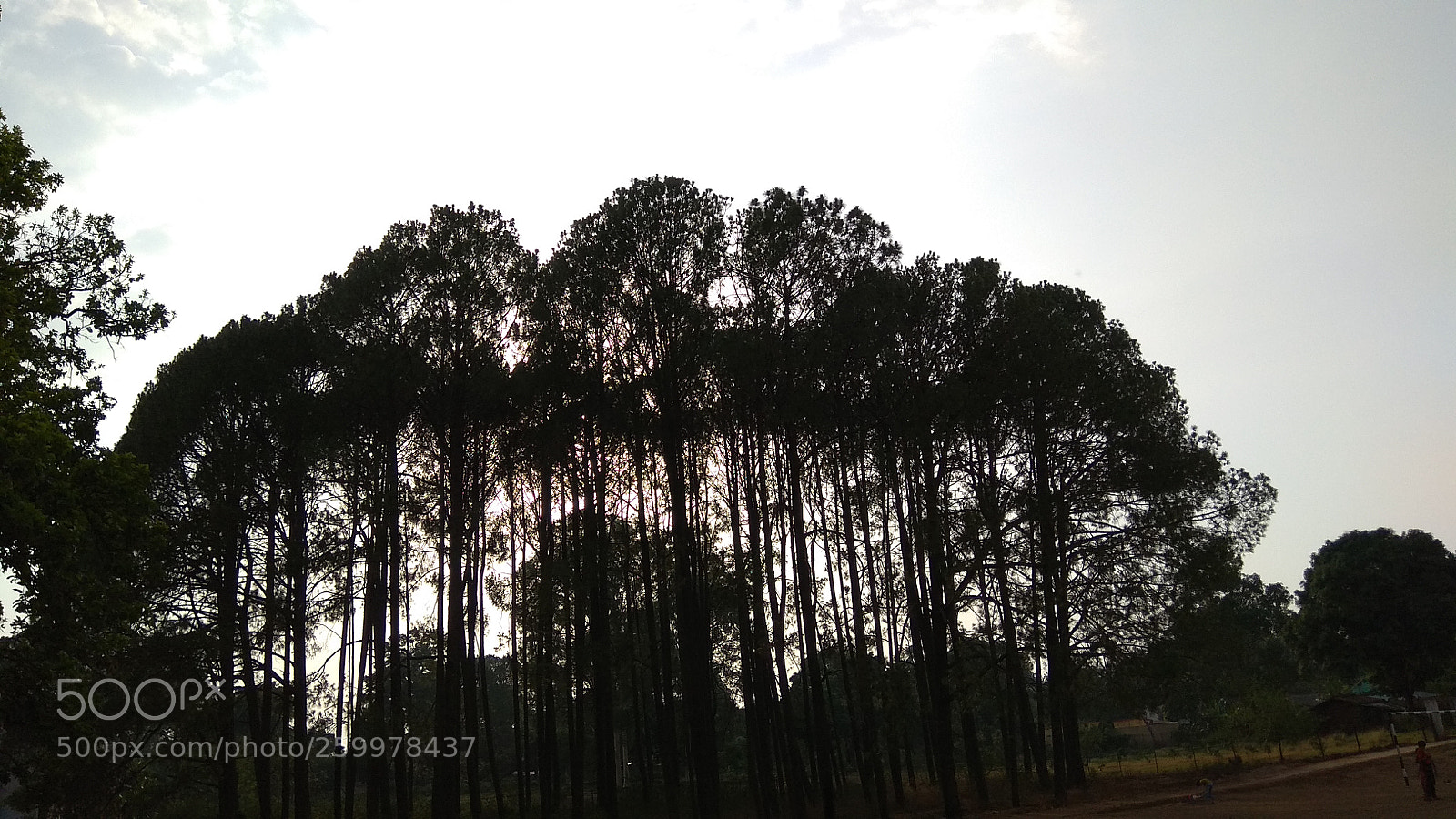 Xiaomi Redmi Note 4 sample photo. Untitled photography