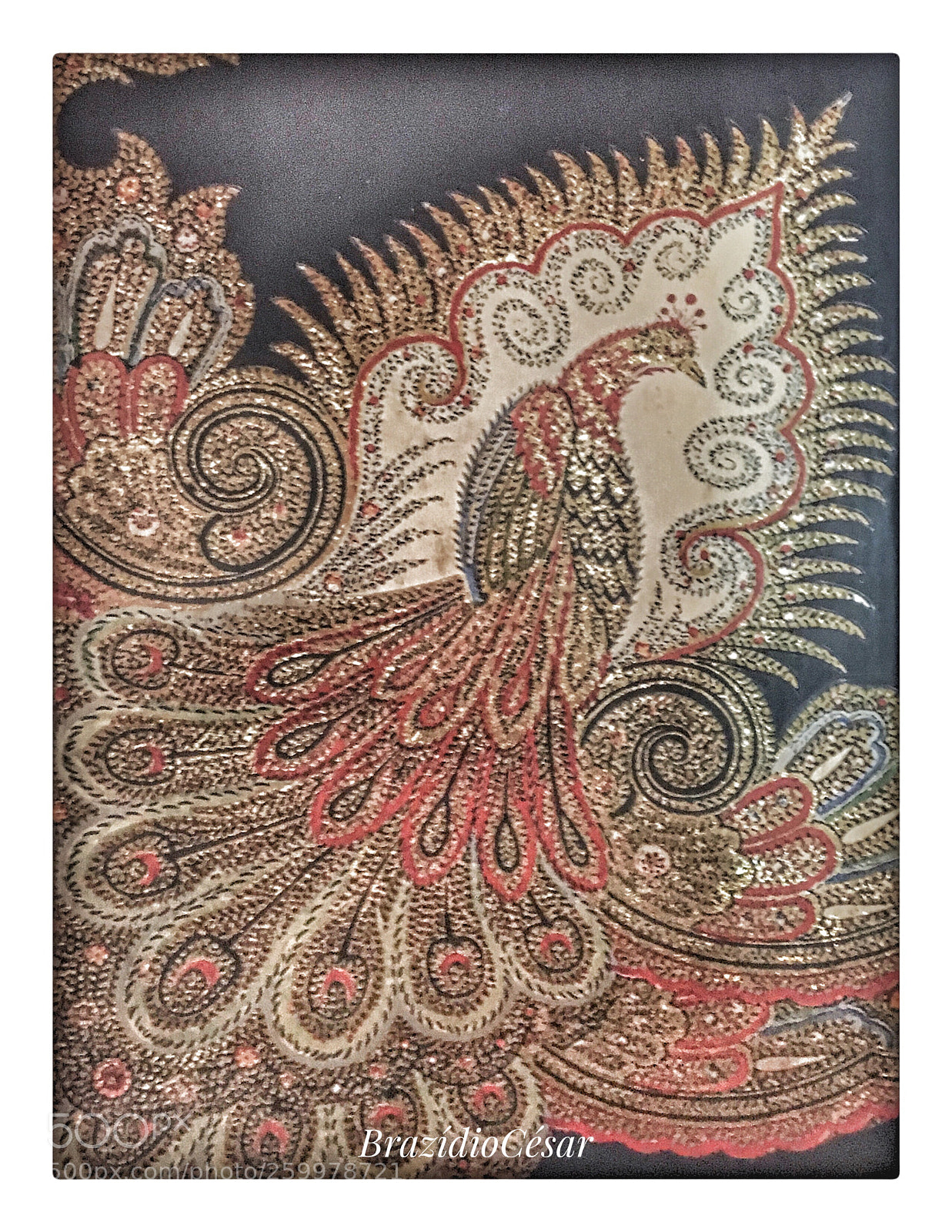 Apple iPhone 6s sample photo. Book photography