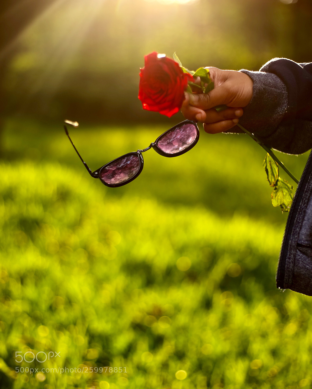 Canon EOS 6D sample photo. Love light photography