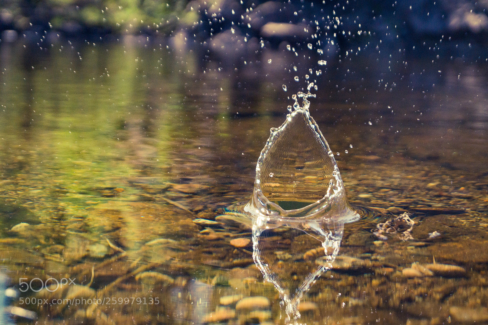 Sony SLT-A58 sample photo. Splash photography