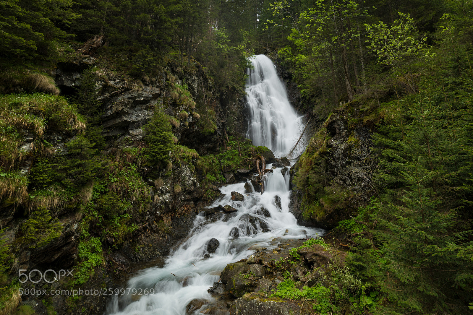 Nikon D850 sample photo. Forest waterfall photography