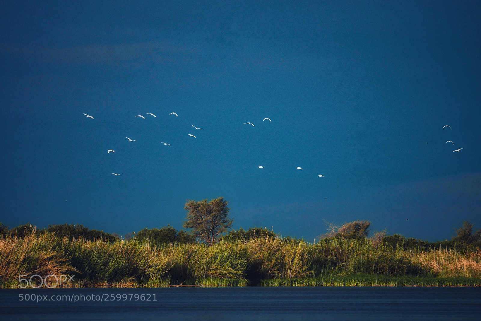 Sony SLT-A77 sample photo. African river mood photography