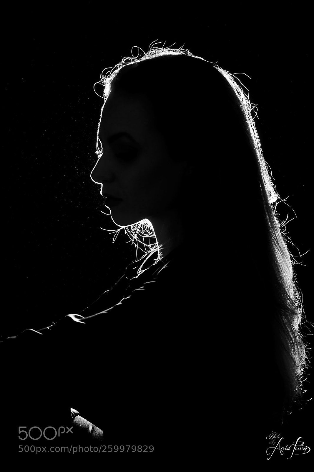 Nikon D7100 sample photo. Silhouette photography