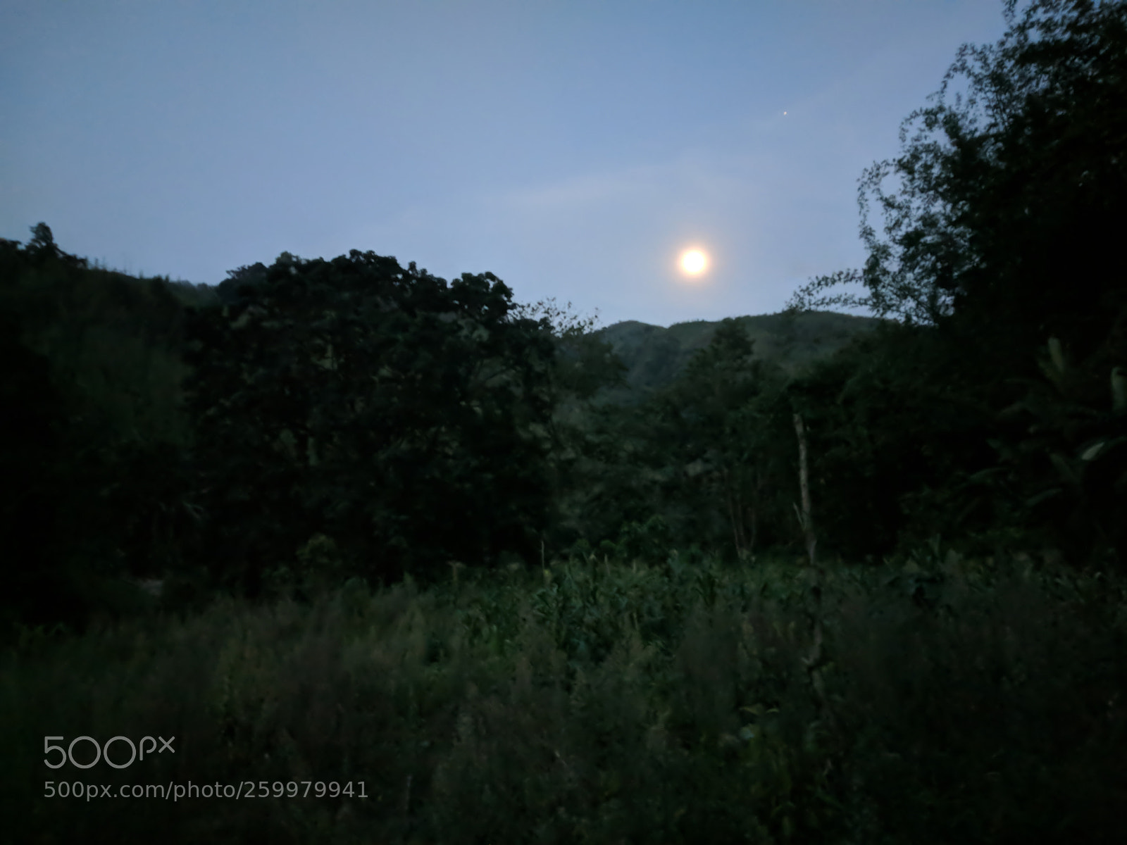Xiaomi Mi A1 sample photo. Under moonlight photography