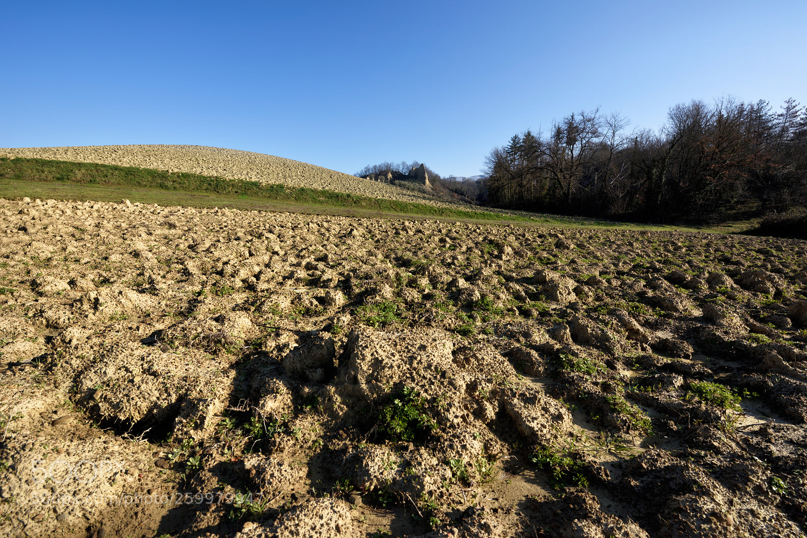Nikon D810 sample photo. In sky and earth photography