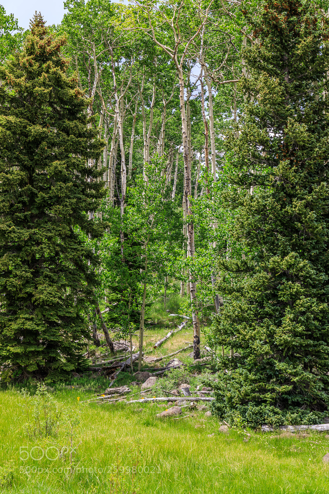 Canon EOS 5D Mark IV sample photo. Rural utah 2297 photography