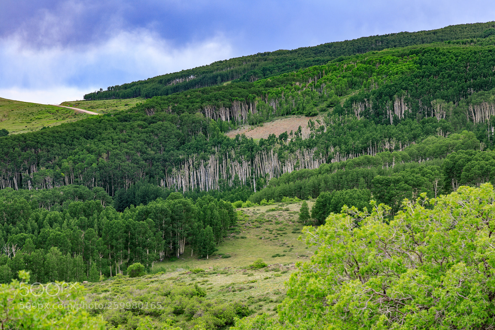 Canon EOS 5D Mark IV sample photo. Rural utah 2314 photography