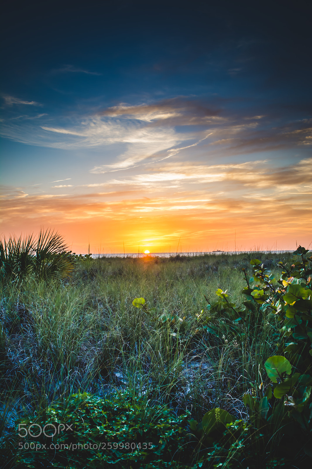 Nikon D7100 sample photo. Florida sunset photography