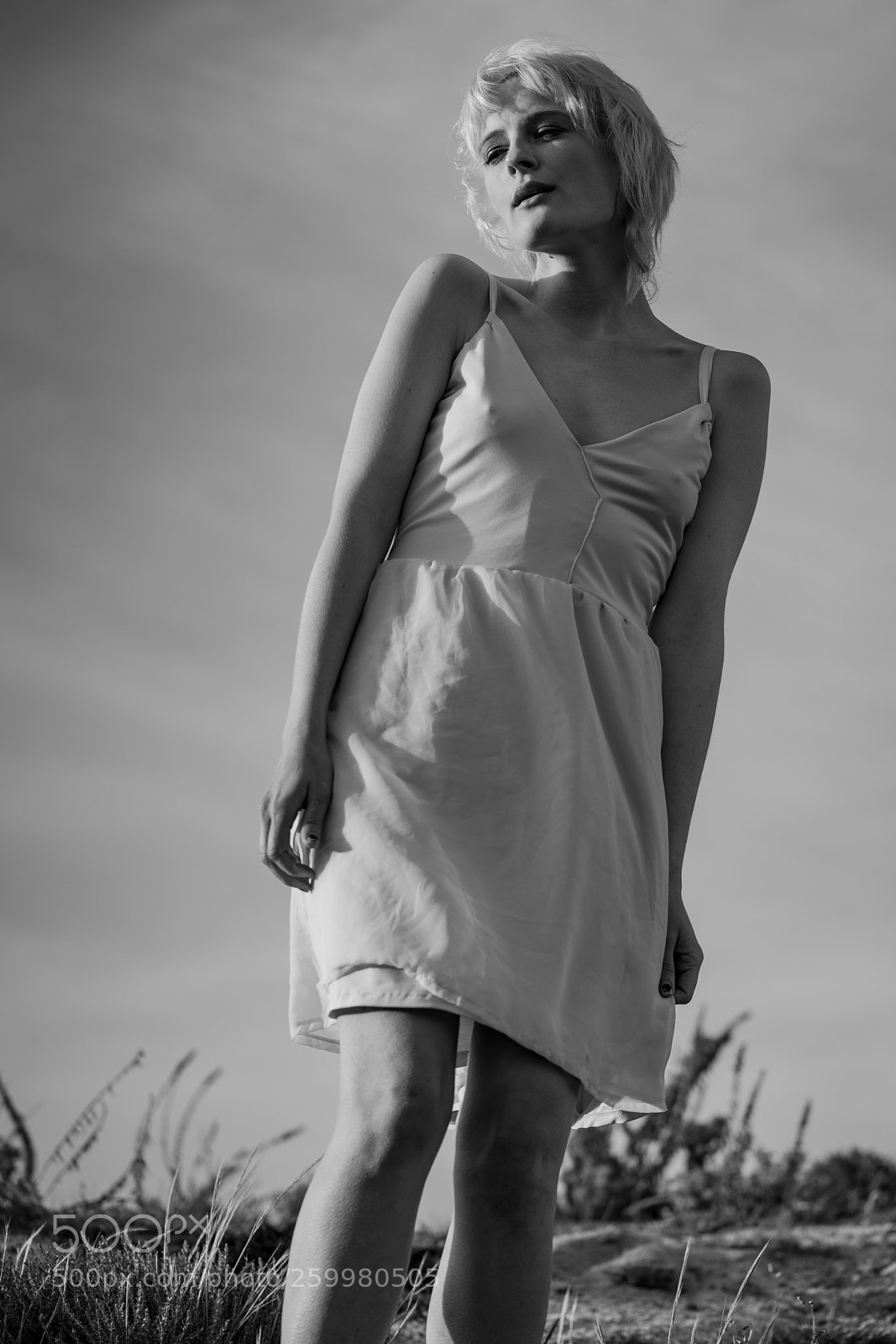 Sony a7R III sample photo. Larissa, dunes at asilomar photography