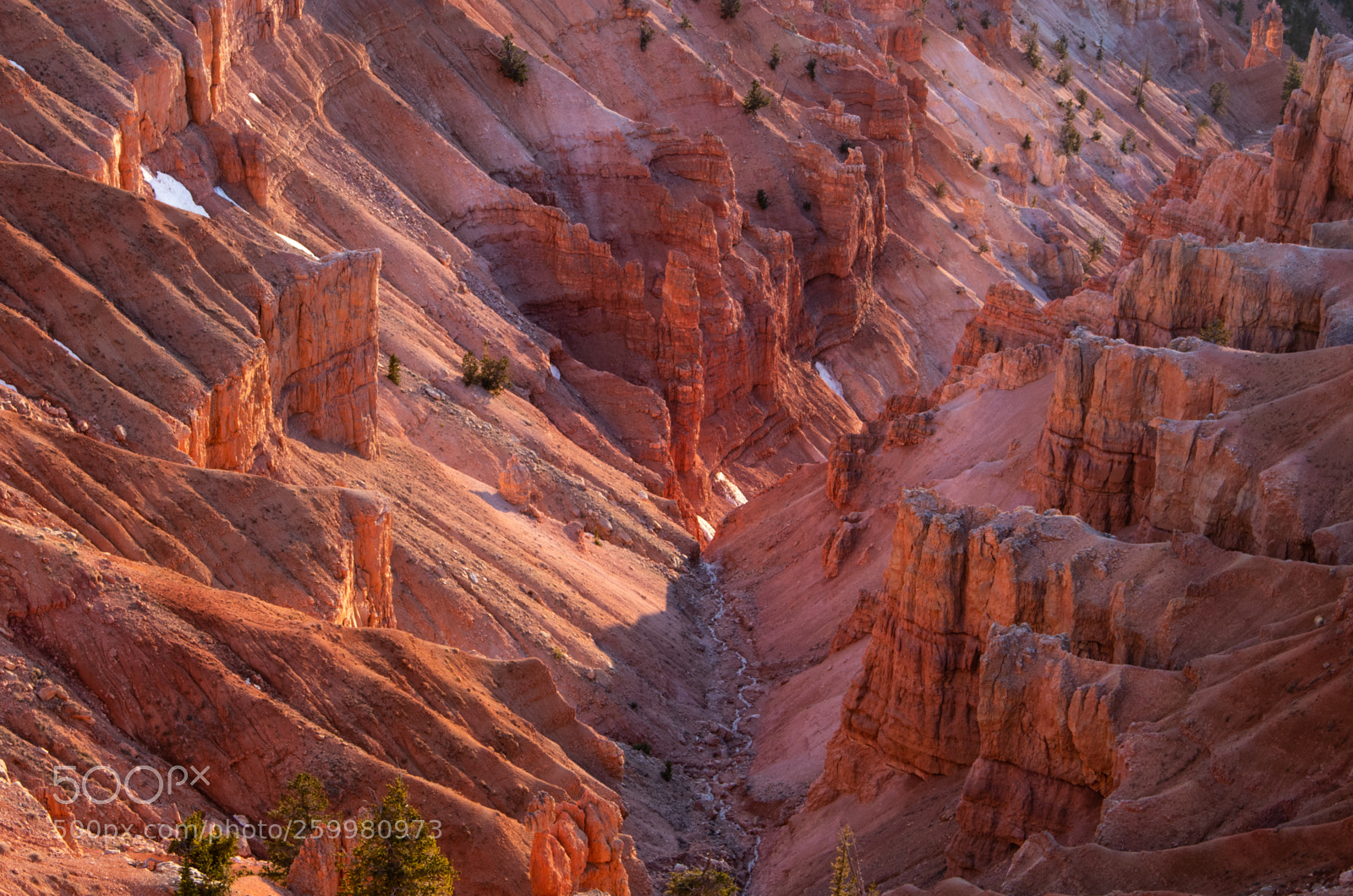 Canon EOS 80D sample photo. Cedar breaks photography