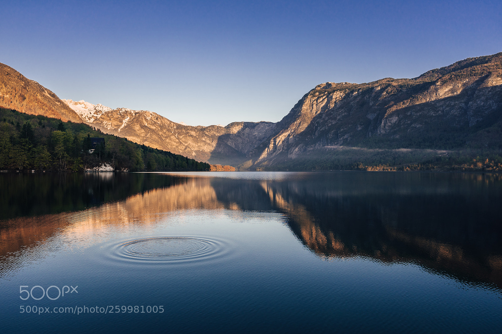 Sony a7 sample photo. Bohinj lake morning photography