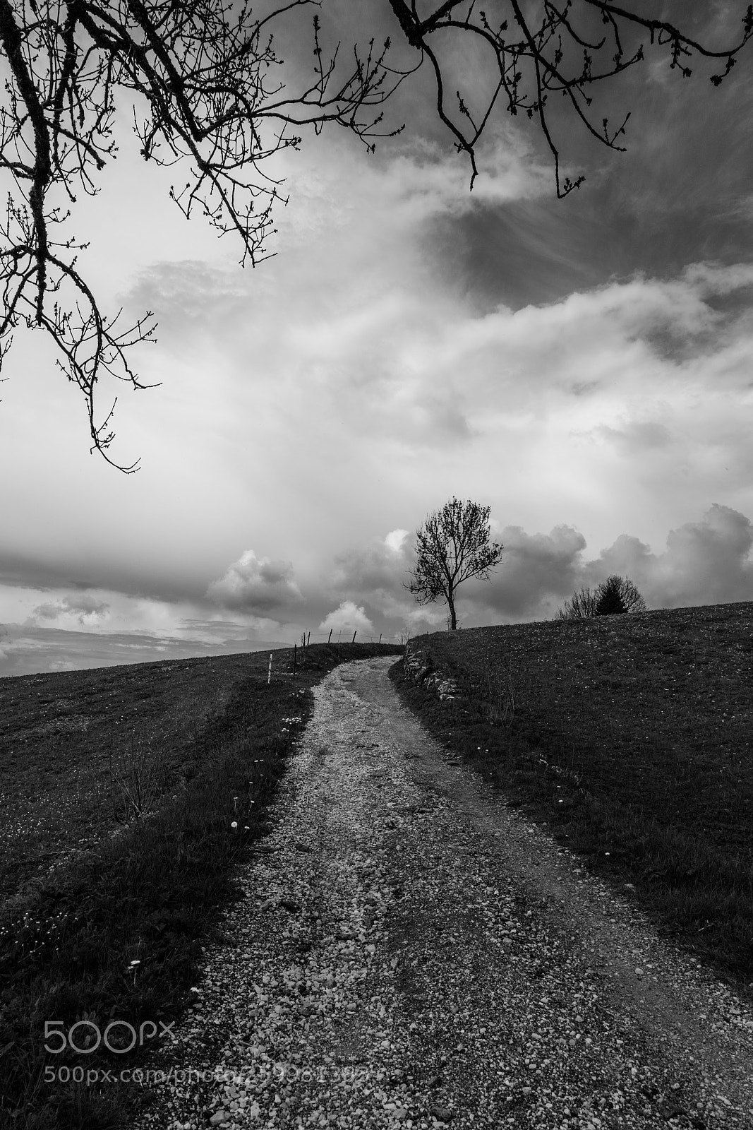 Canon EOS 6D sample photo. Lac de bellefontaine, jura photography