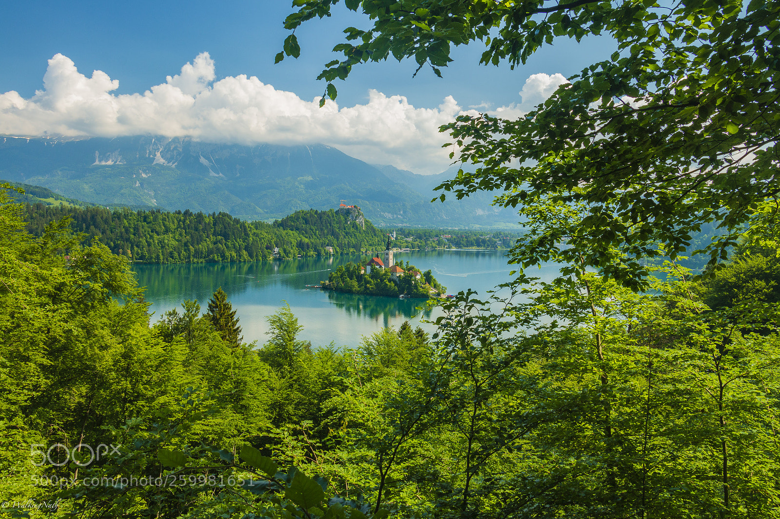 Canon EOS 70D sample photo. Bled from above (of ) photography