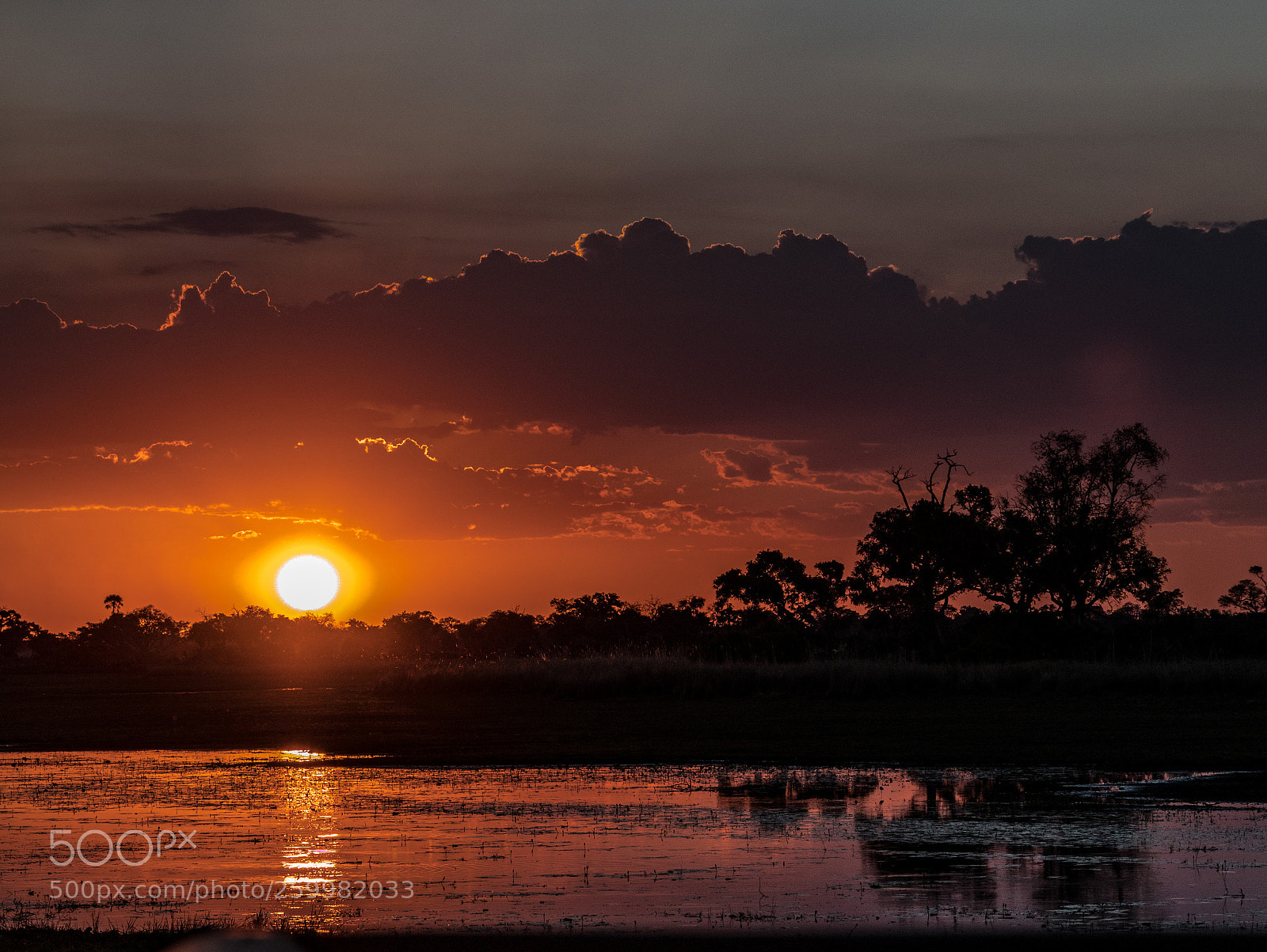 Sony Cyber-shot DSC-RX10 IV sample photo. Blazing sunset photography