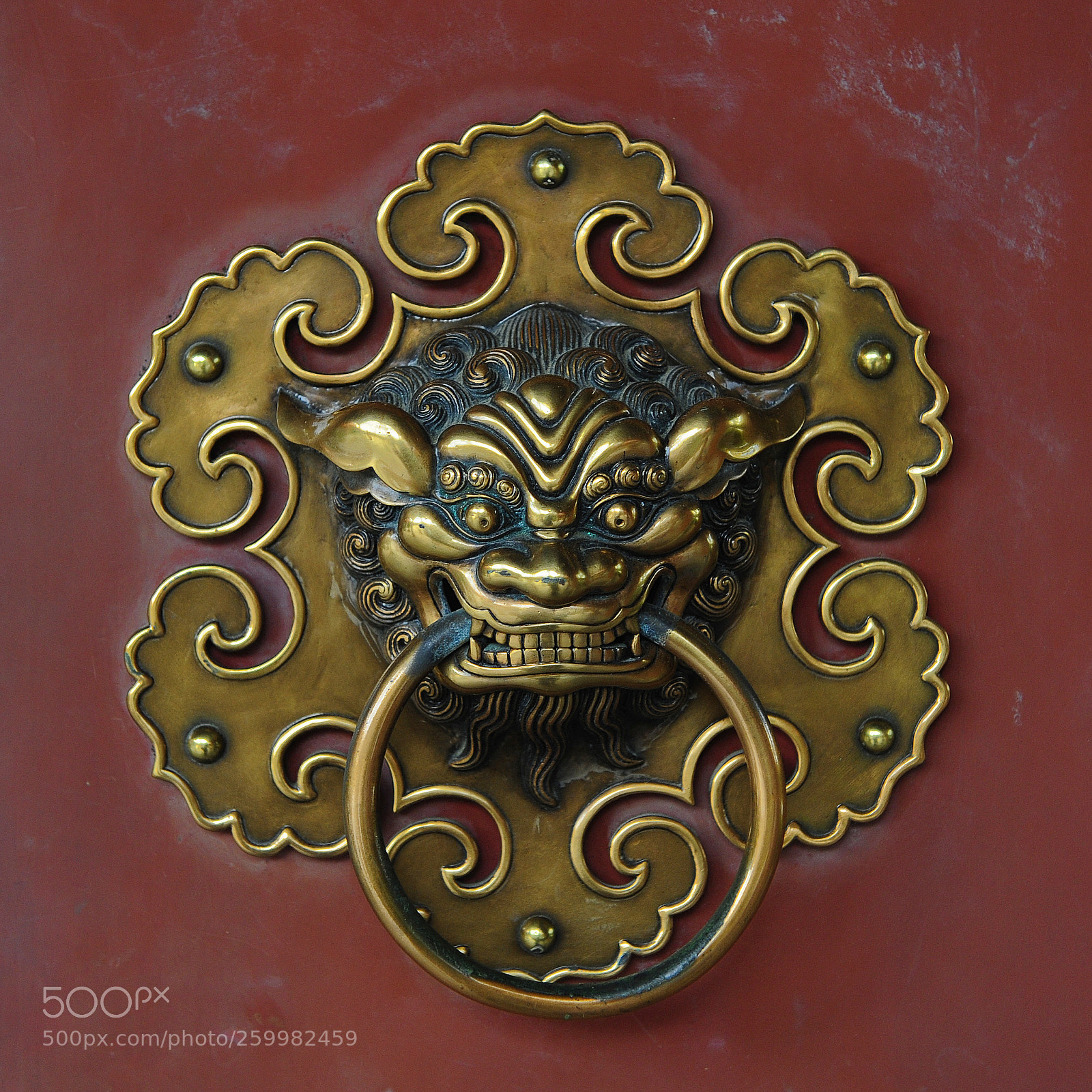 Nikon D700 sample photo. Door knocker photography