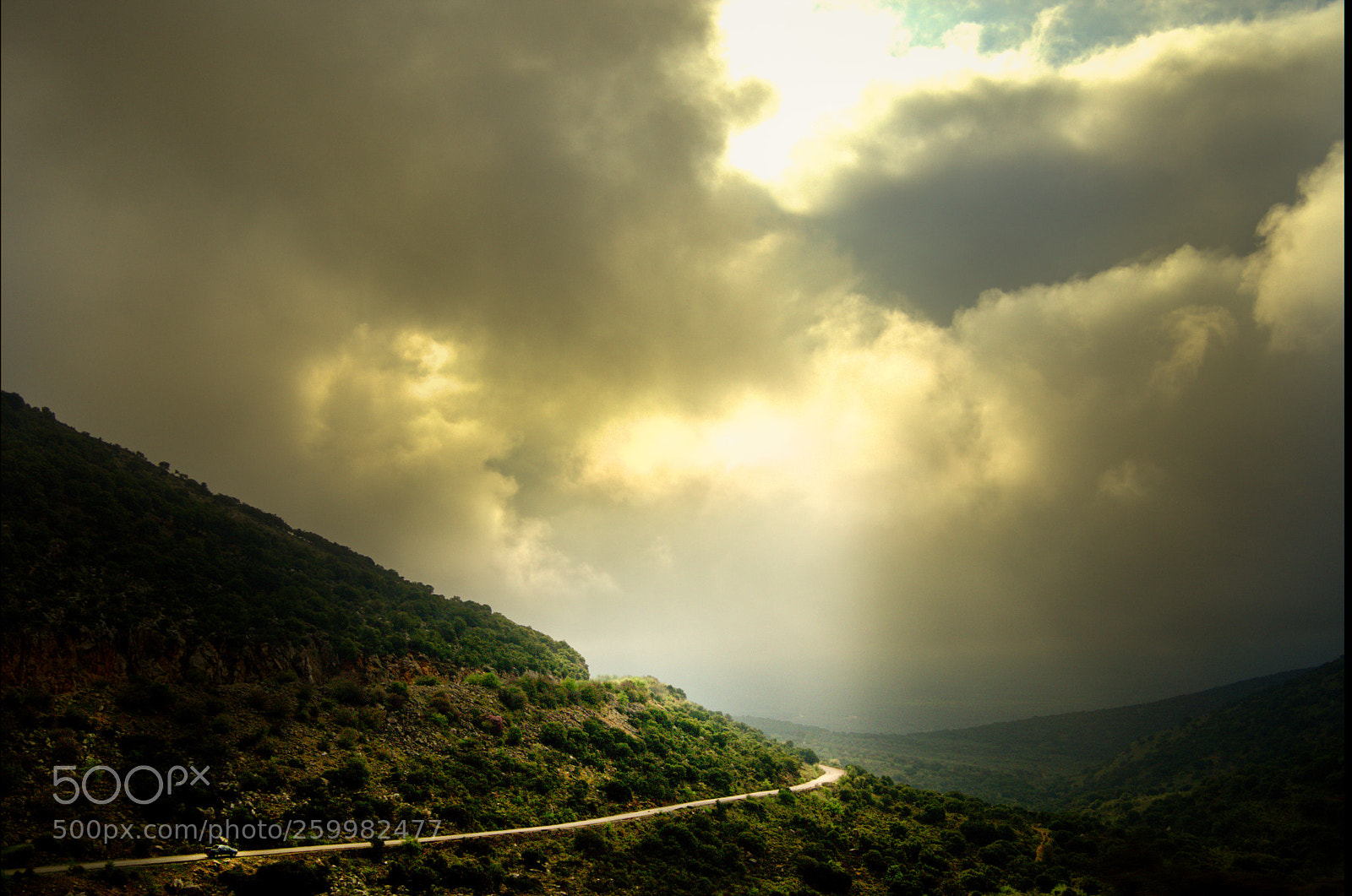 Pentax K-3 II sample photo. Roll into the light photography