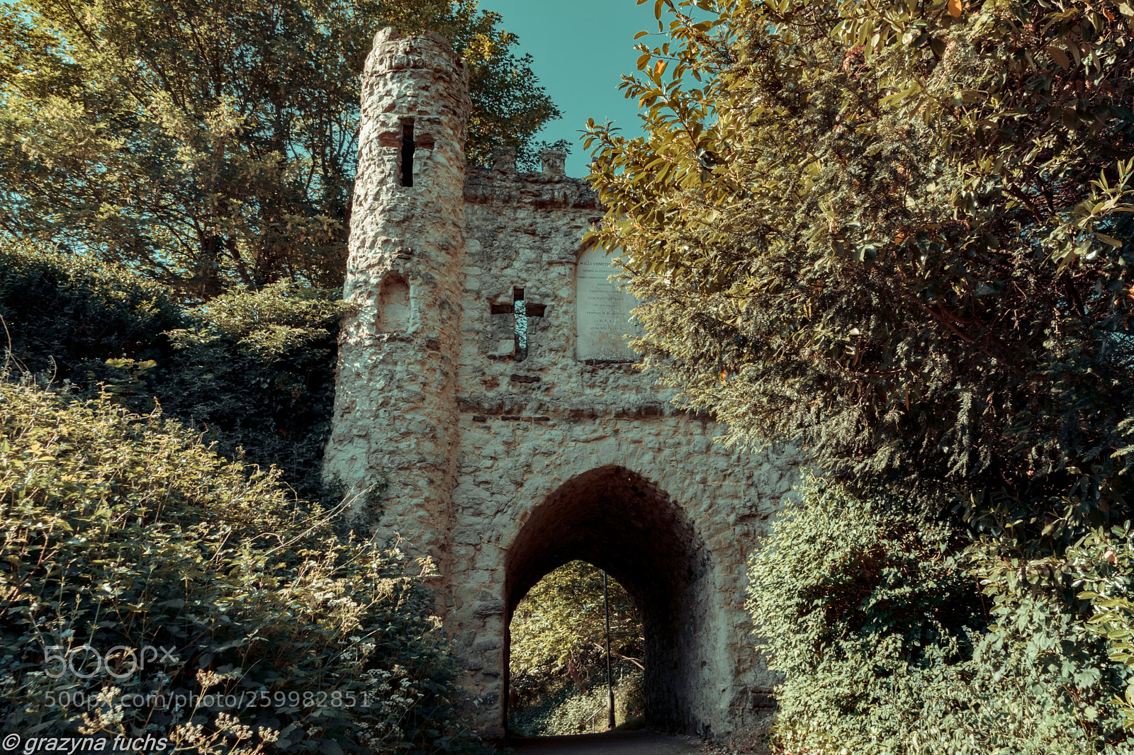 Nikon D3300 sample photo. Reigate castle photography