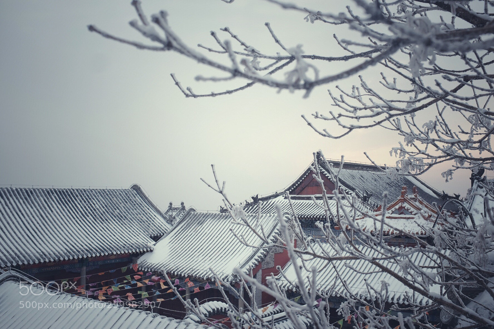 Fujifilm X100T sample photo. Untitled photography