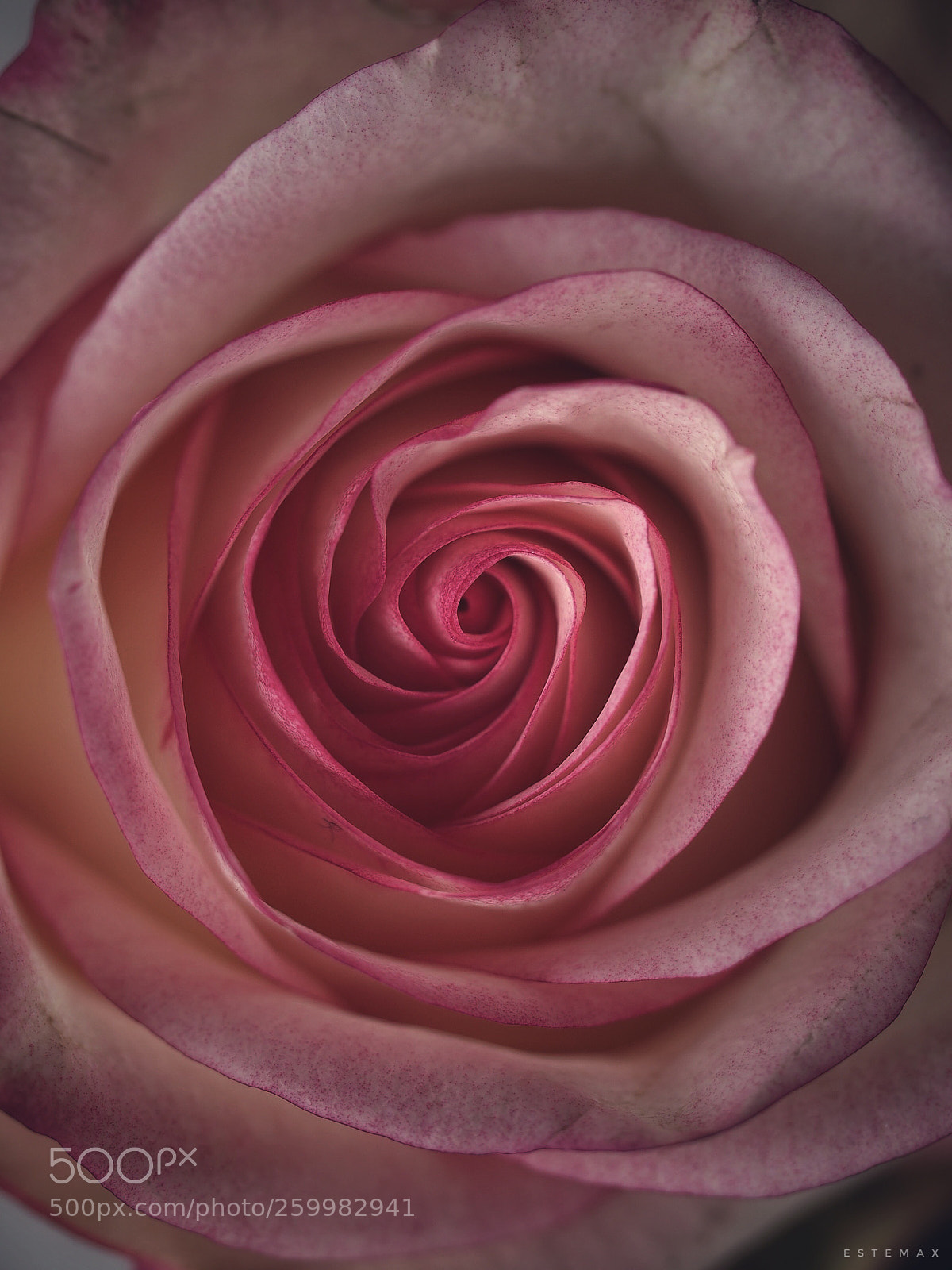 Olympus OM-D E-M1 sample photo. Red hole  photography