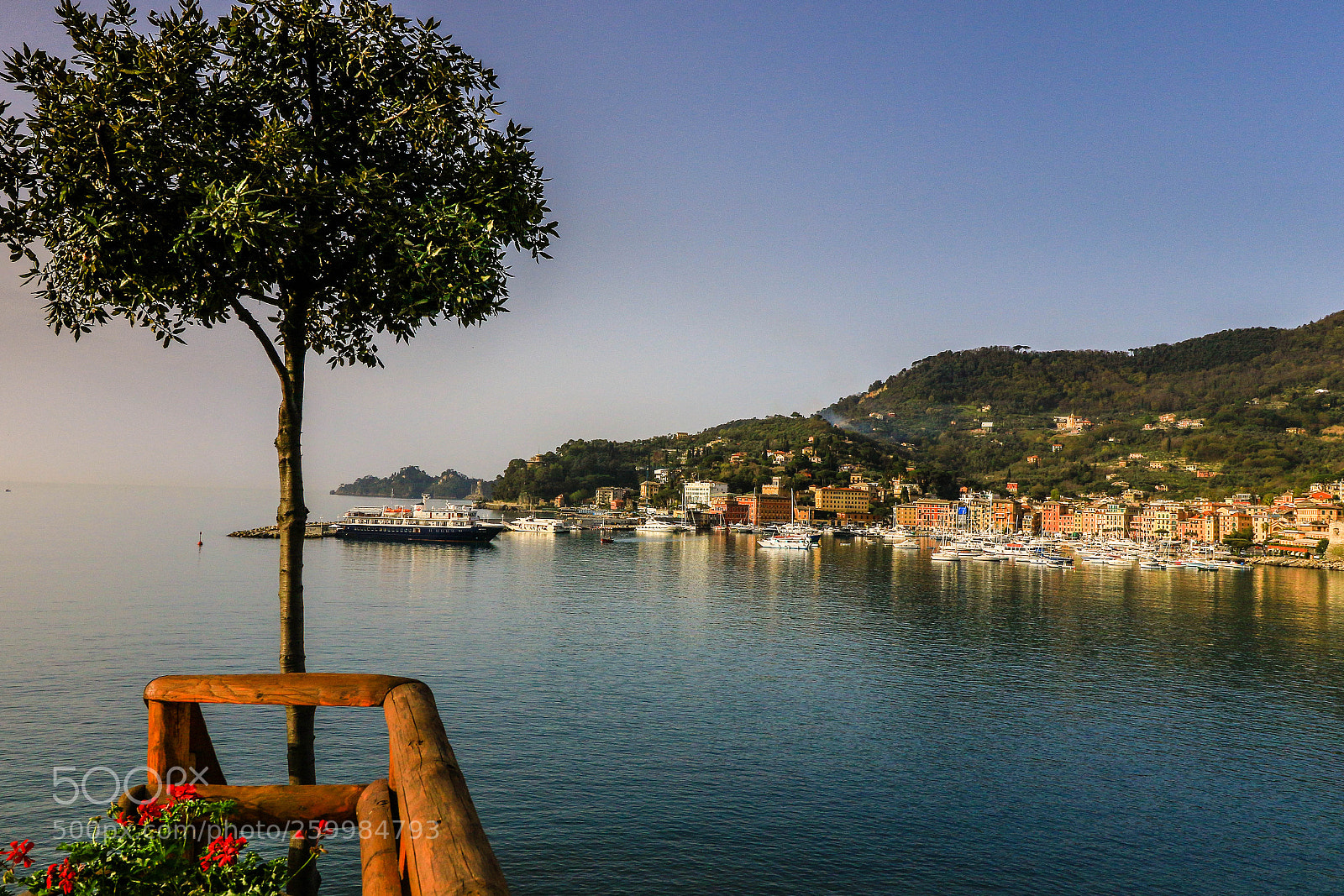 Canon EOS 7D Mark II sample photo. Day out photography