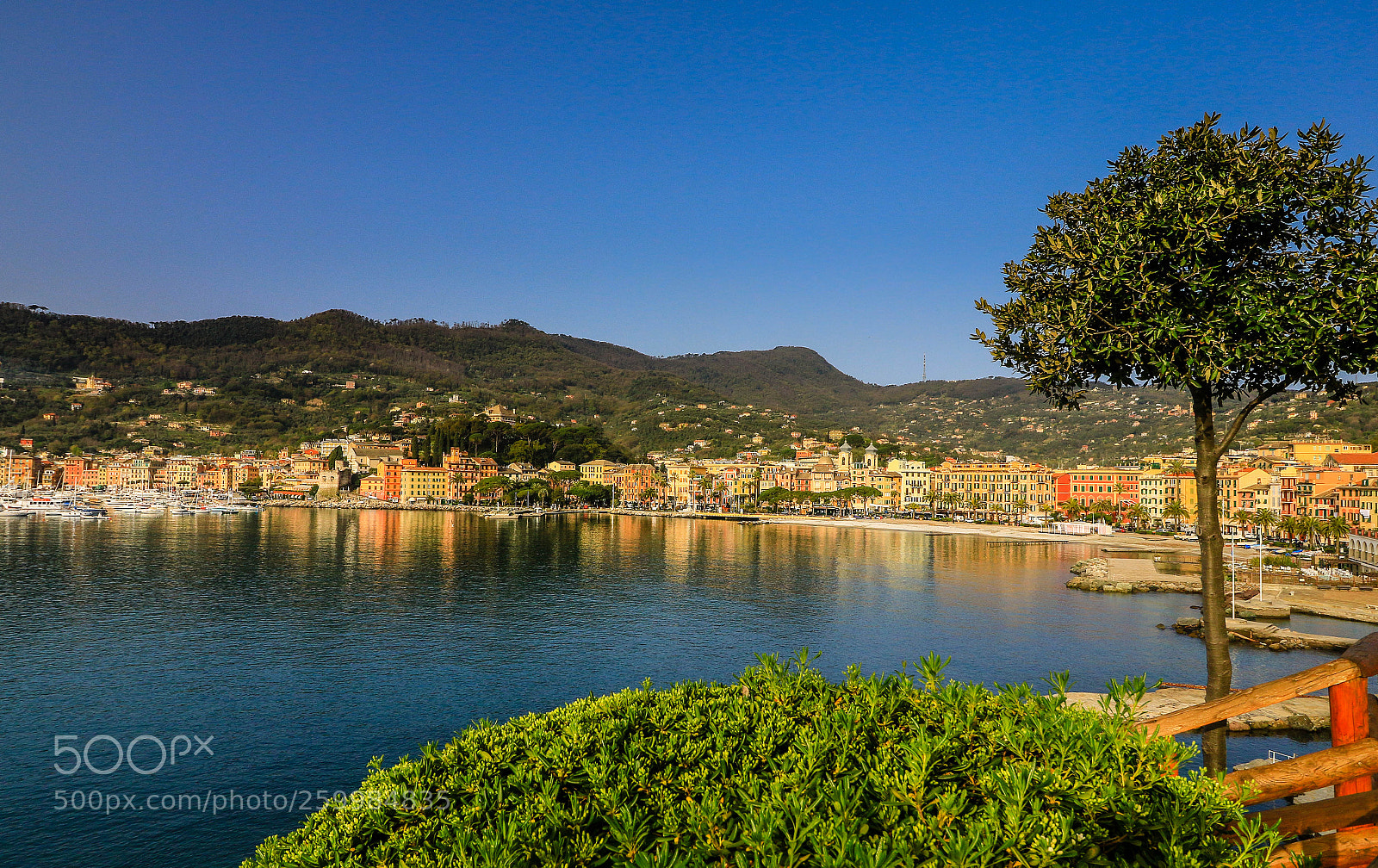 Canon EOS 7D Mark II sample photo. Day out photography