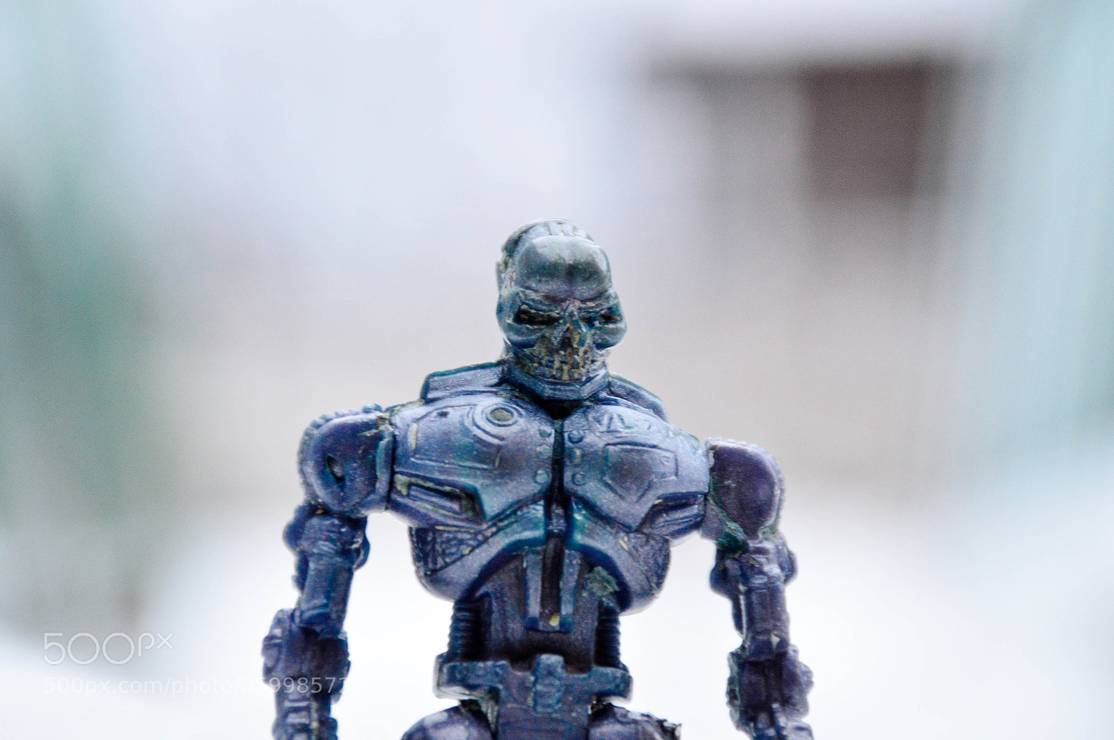 Nikon D3200 sample photo. Terminator photography
