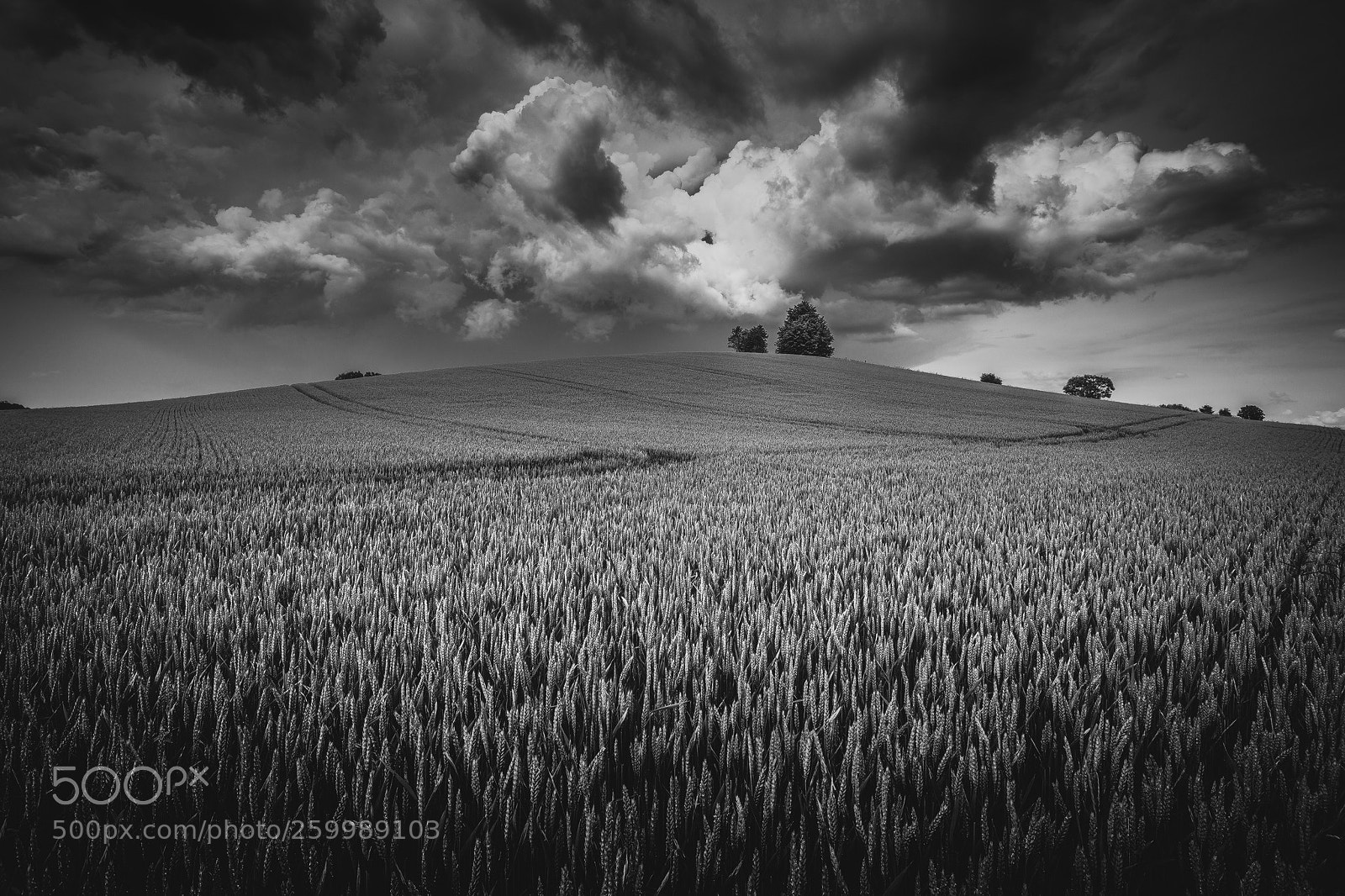 Canon EOS 6D sample photo. Unknown germany pt. cccxxix photography