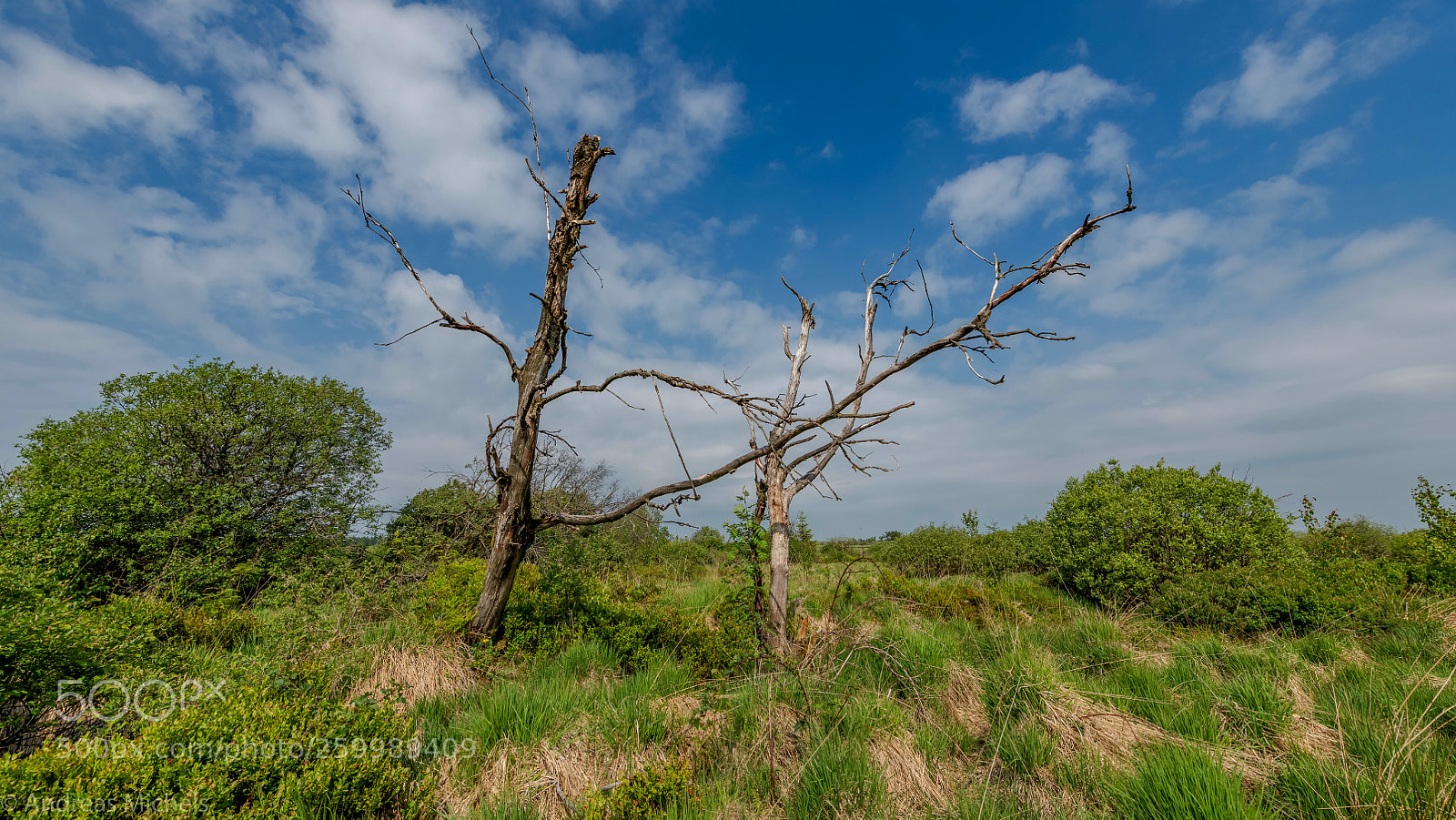 Nikon D850 sample photo. Hohes venn photography