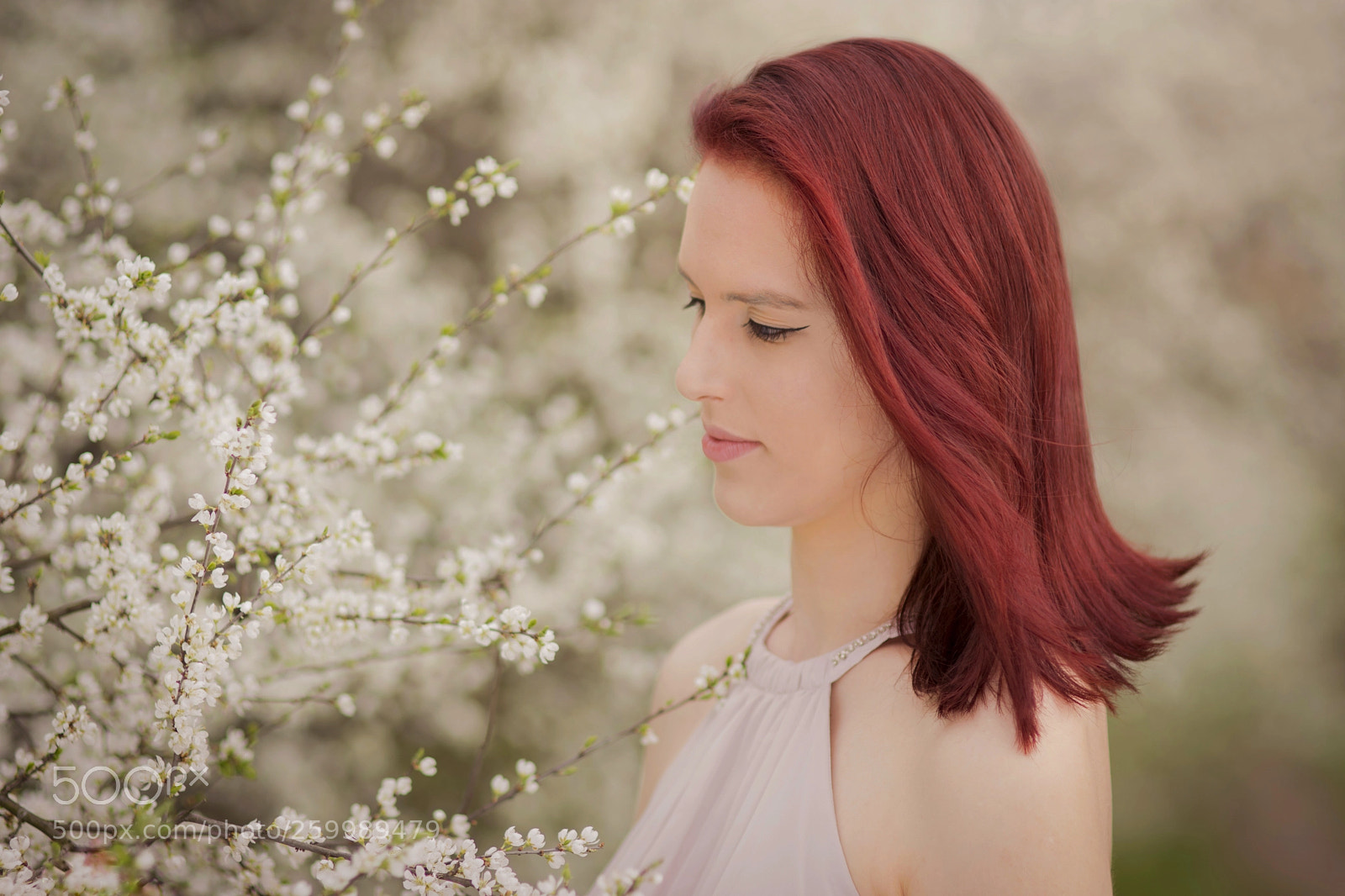 Nikon D7200 sample photo. Untitled photography