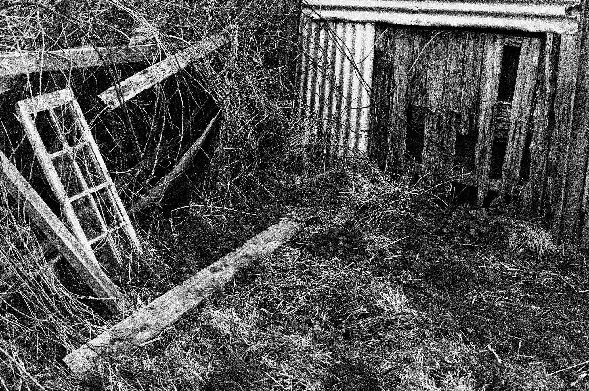 Fujifilm X-Pro1 sample photo. Tan-y-bwlch, aberystwyth. photography