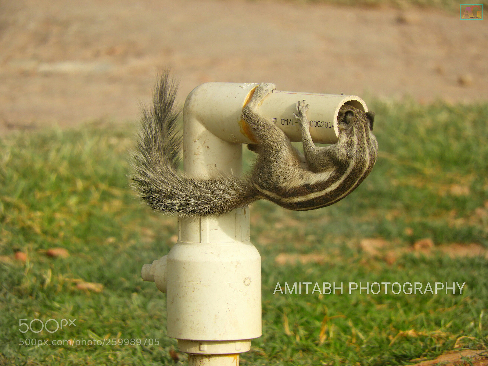 Nikon Coolpix B700 sample photo. Looking for water photography