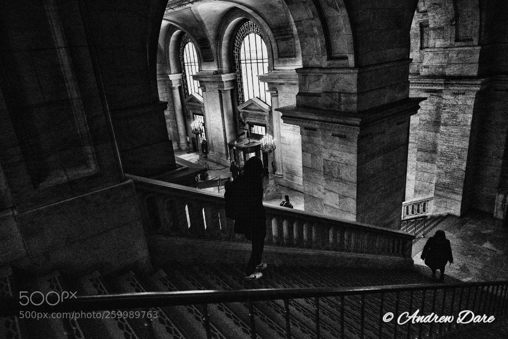 Nikon D810 sample photo. New york public library photography