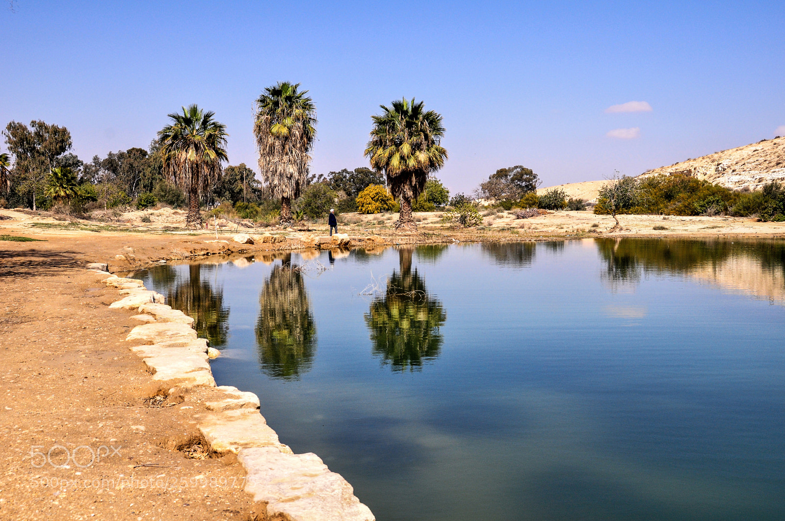 Nikon D90 sample photo. Oasis in the negev photography