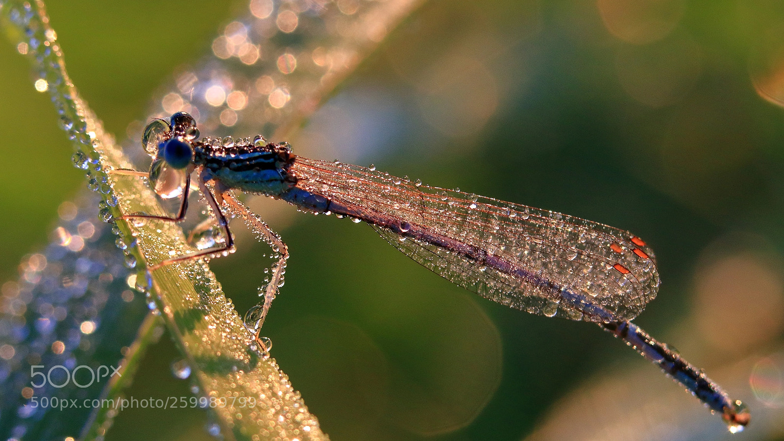 Canon EOS 7D Mark II sample photo. Sunrise photography