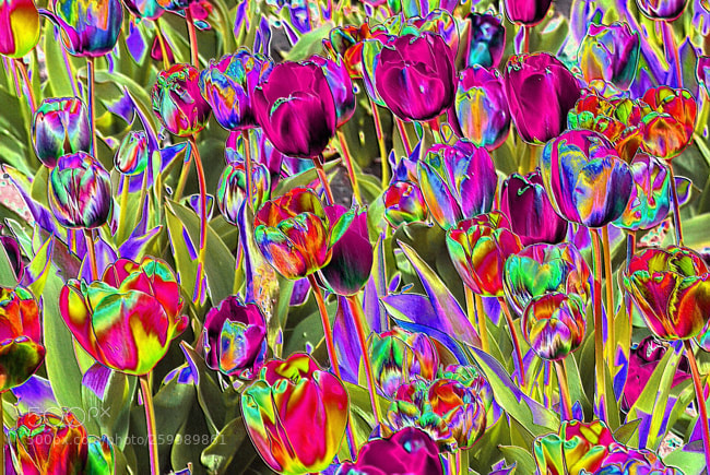 Nikon D60 sample photo. Designer 016406 x4 photography
