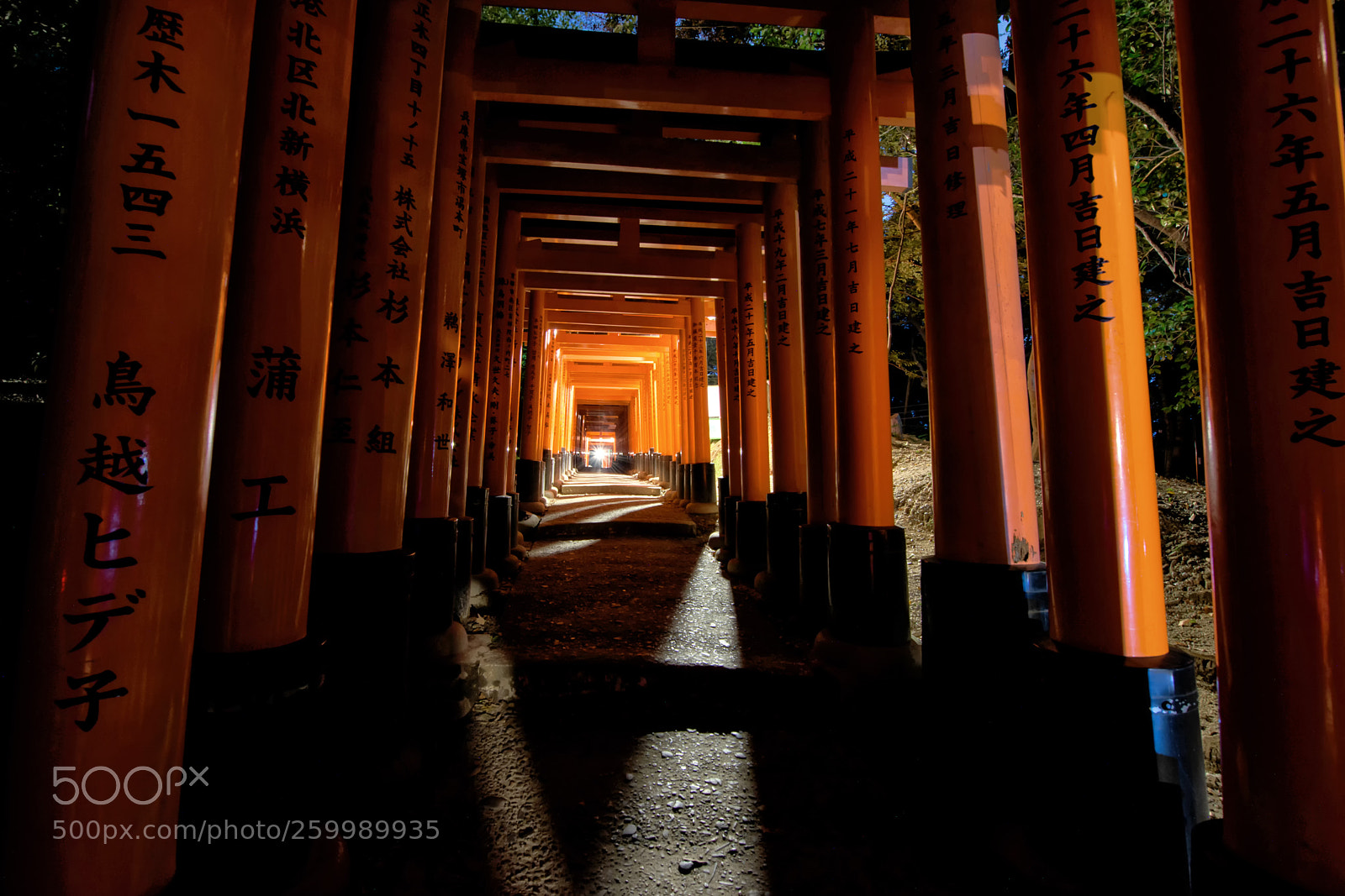 Nikon D810 sample photo. Torii gate of fushimi photography