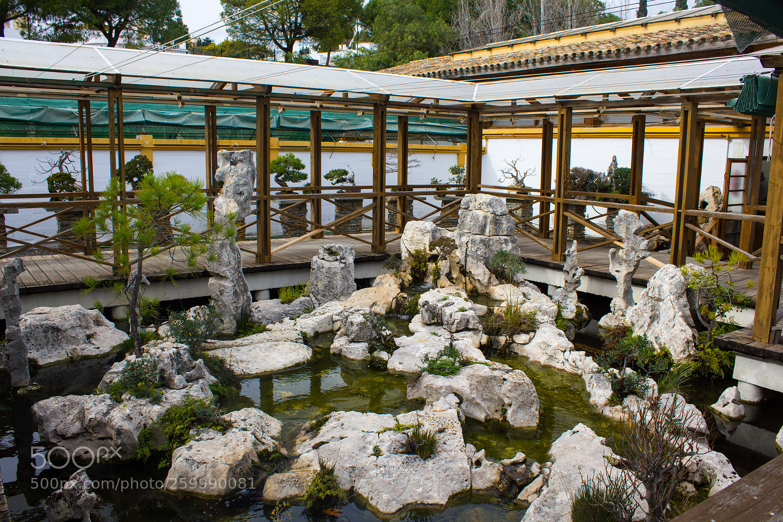 Canon EOS 550D (EOS Rebel T2i / EOS Kiss X4) sample photo. Museo bonsai photography