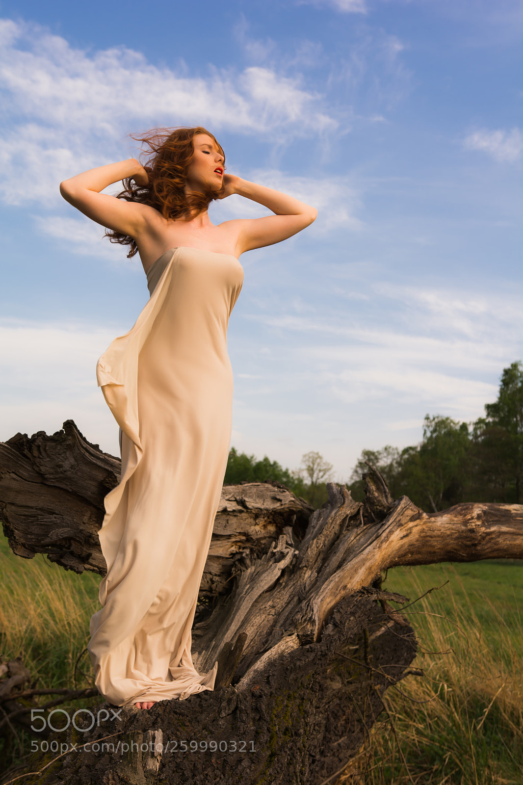 Nikon D7100 sample photo. Angelise photography