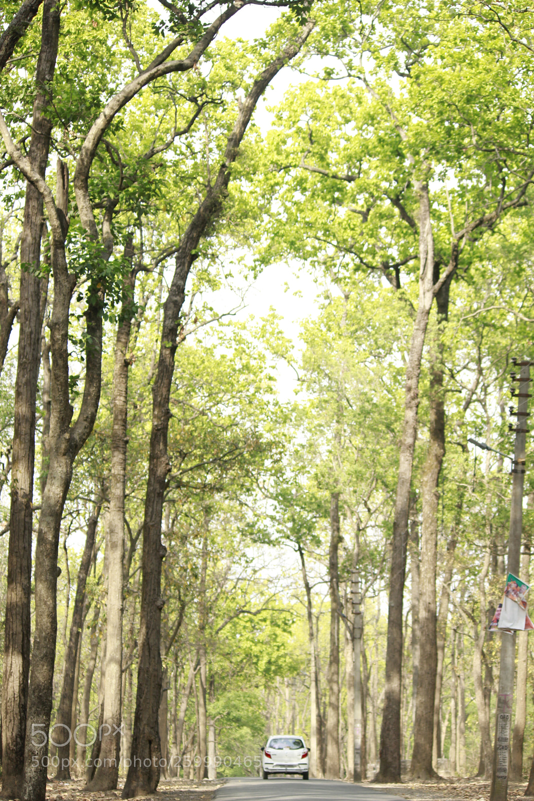 Canon EF-S 55-250mm F4-5.6 IS II sample photo. Untitled photography
