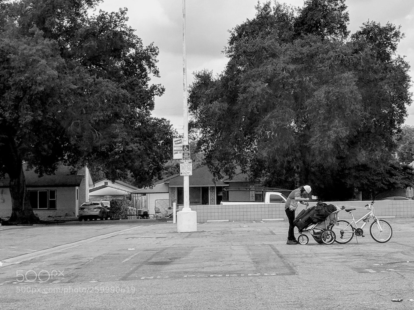 Google Pixel sample photo. Untitled photography