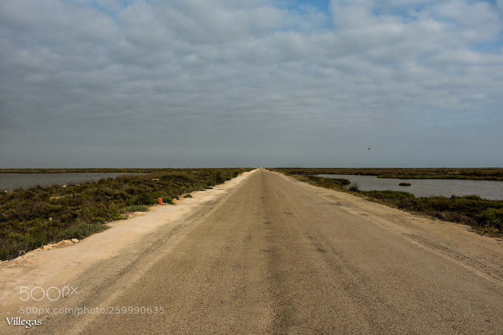 Nikon D7200 sample photo. Road photography