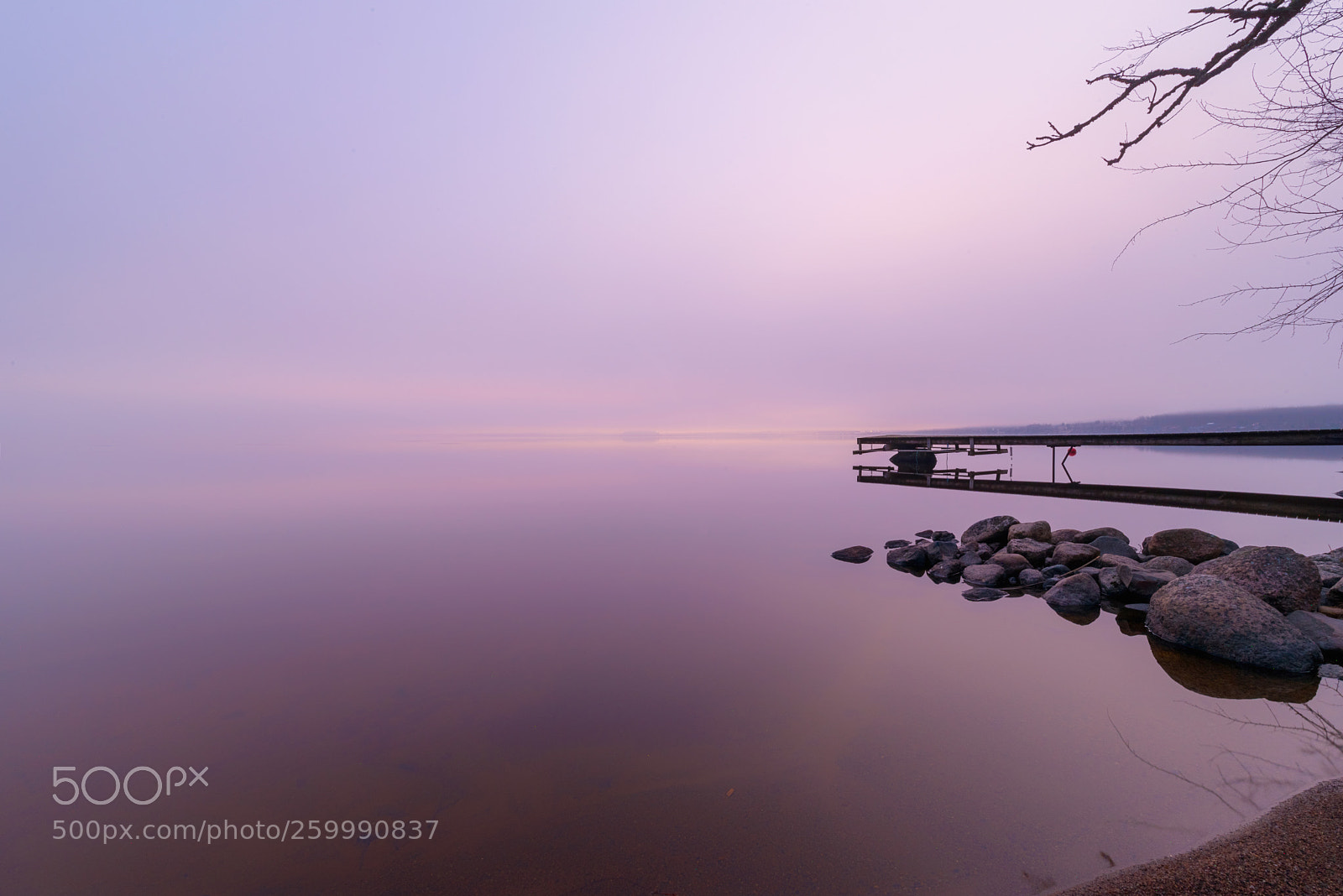 Nikon D750 sample photo. Silence photography