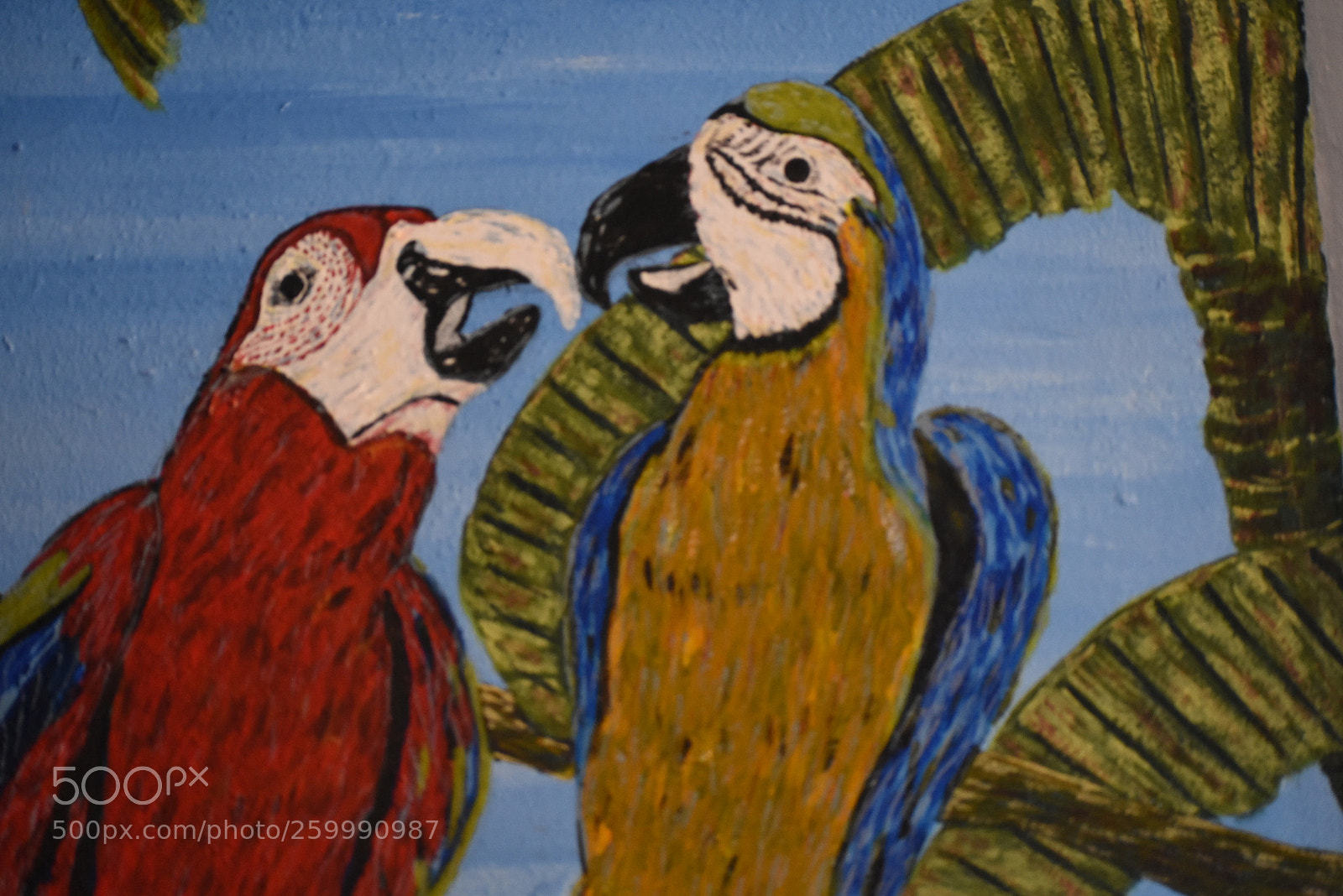Nikon D5500 sample photo. Colorfull parrots photography