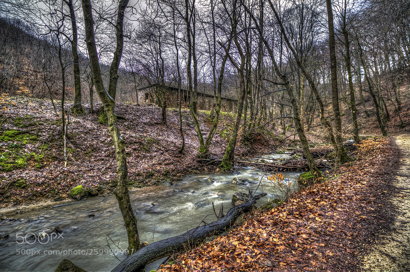 Canon EOS 1100D (EOS Rebel T3 / EOS Kiss X50) sample photo. Autumn at vinye photography
