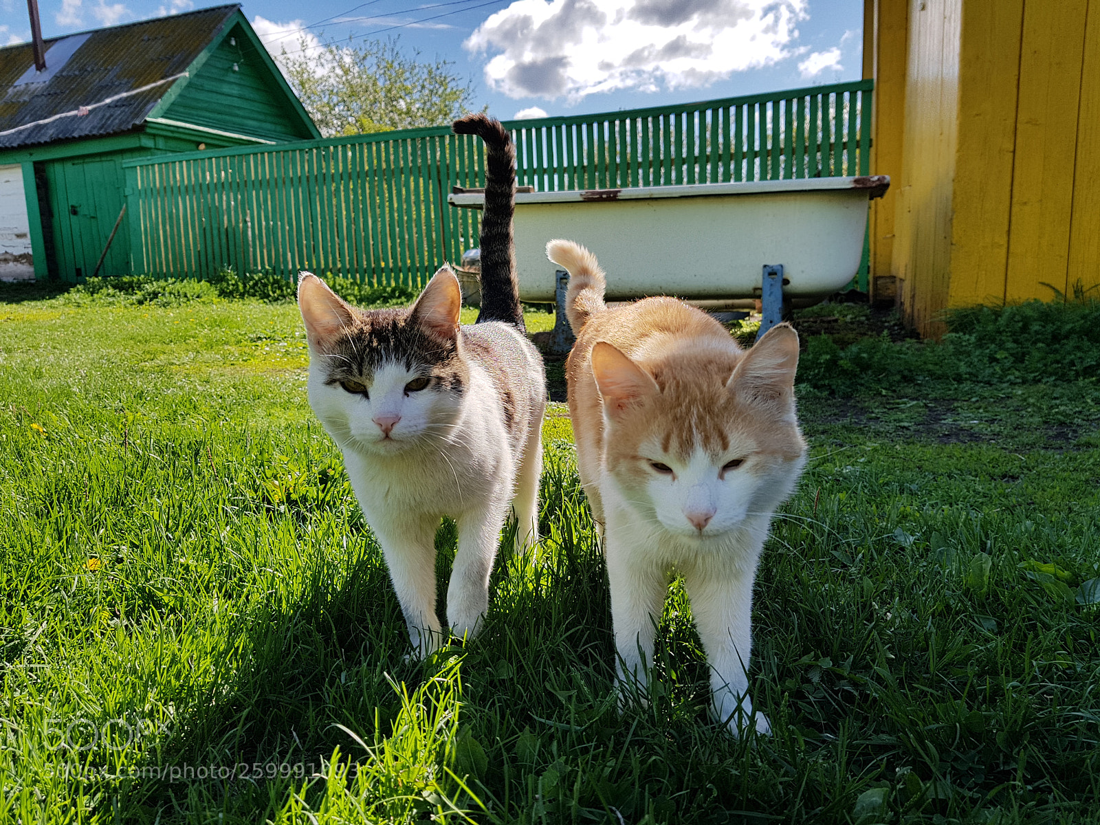 Samsung Galaxy S8+ sample photo. Untitled photography
