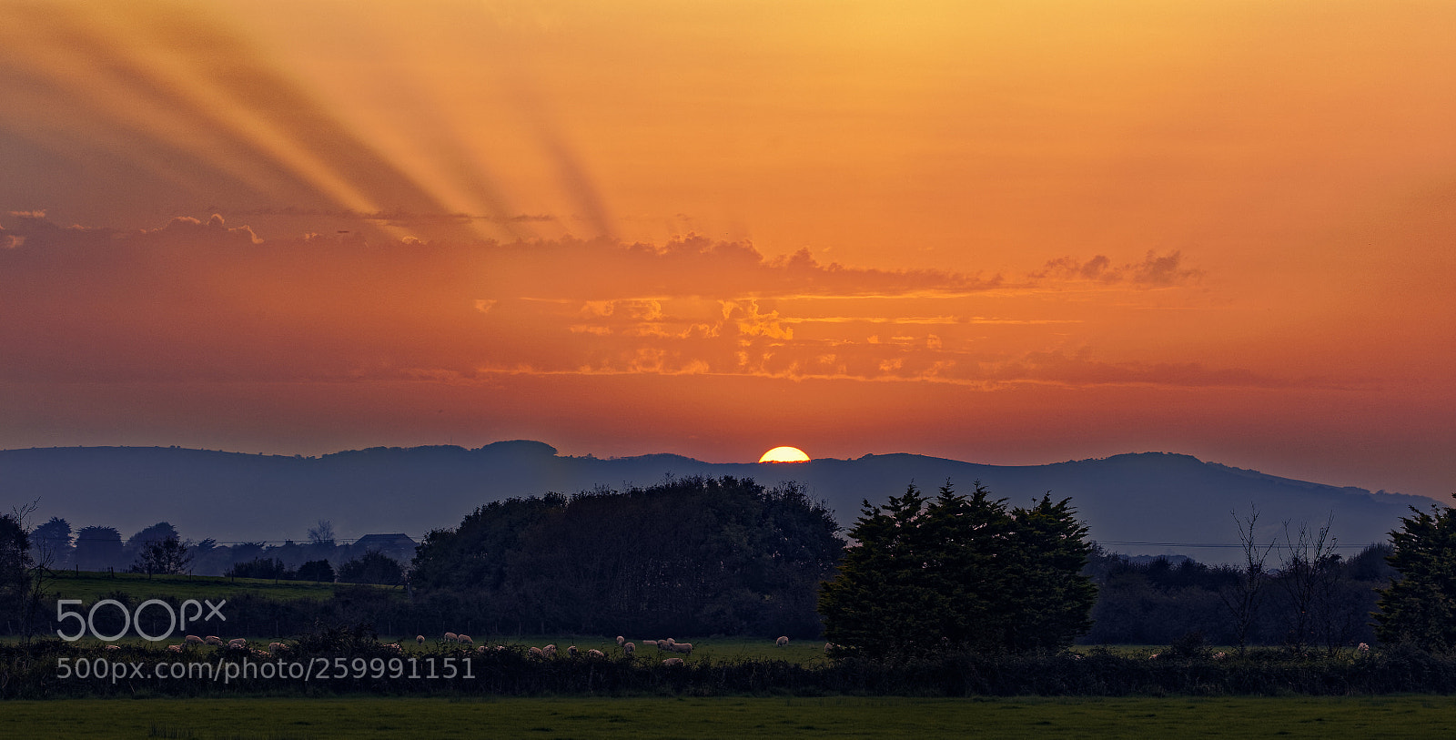 Canon EOS 5DS R sample photo. Downs sunset photography