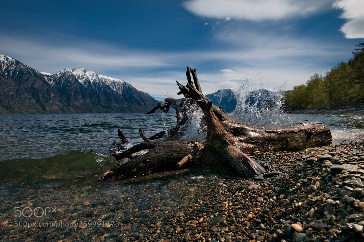Fujifilm X-T1 sample photo. Russia. the south of photography